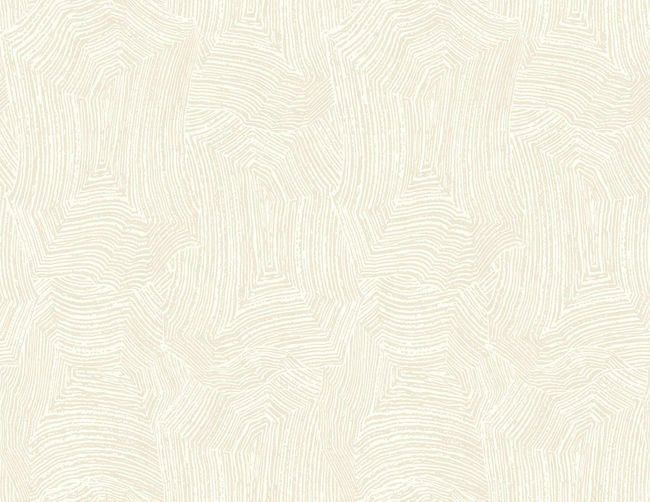 warm-neutrals-beiges_abstract-woodgrain