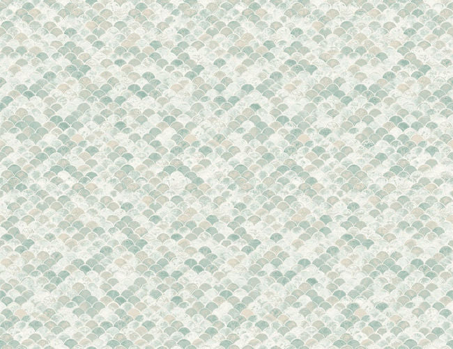 color_contemporary-fish-scale