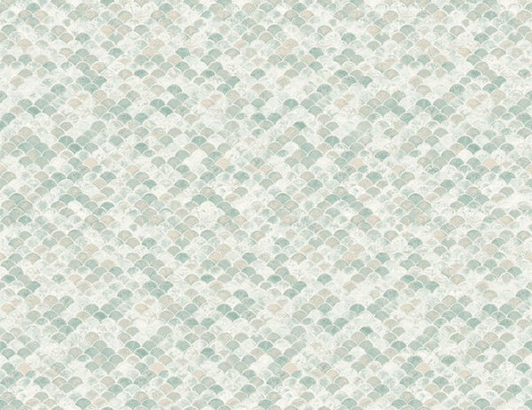 Color