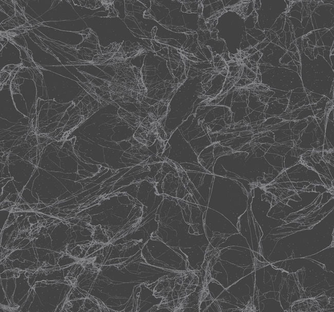 blacks-1_spider-crackle