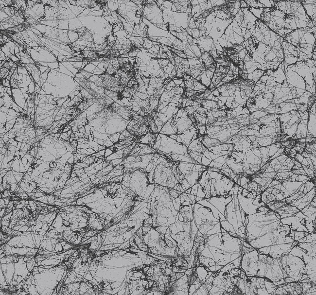 blacks-2_spider-crackle