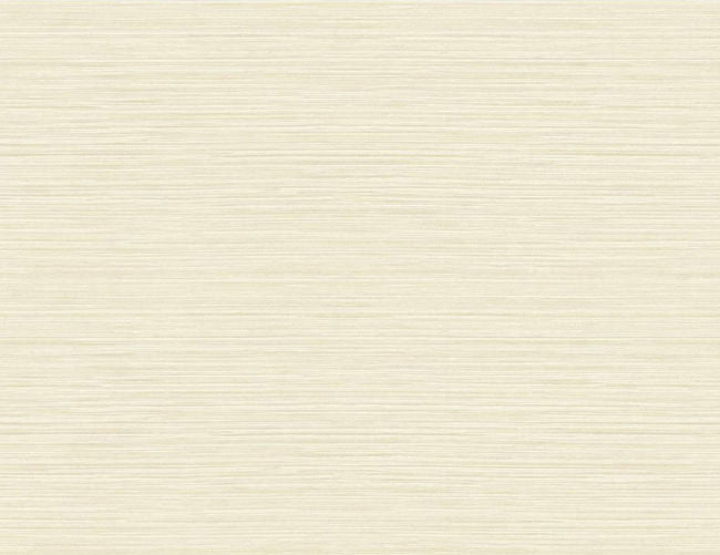 warm-neutrals-beiges-3_sisal-with-linen-texture-27-in