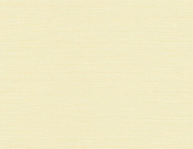 browns-taupes_sisal-with-linen-texture-27-in