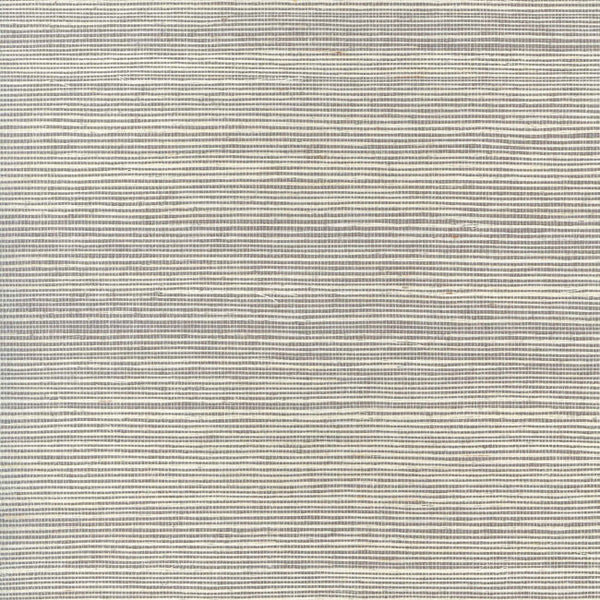 Cool Neutrals
