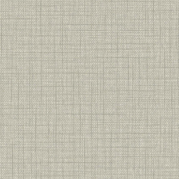 Light Pewter