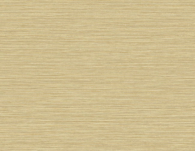 savanna_grasslands-questex