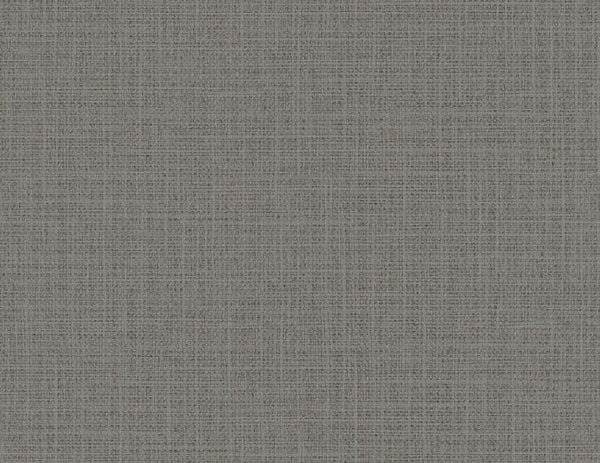 Volcanic Ash