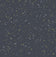 Midnight Blue and Metallic Gold
