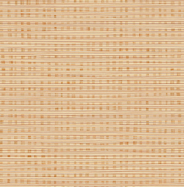 Terra Cotta