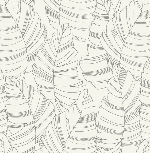 charcoal_jungle-leaves