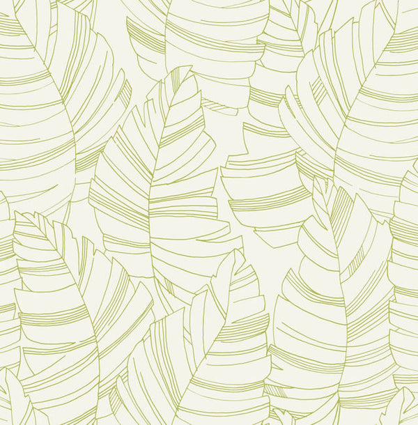 Green Apple