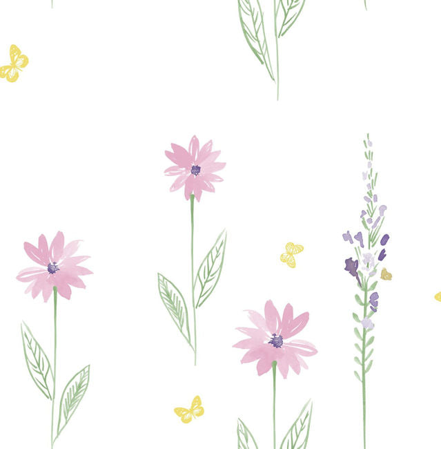 pink-and-green_daisy-field