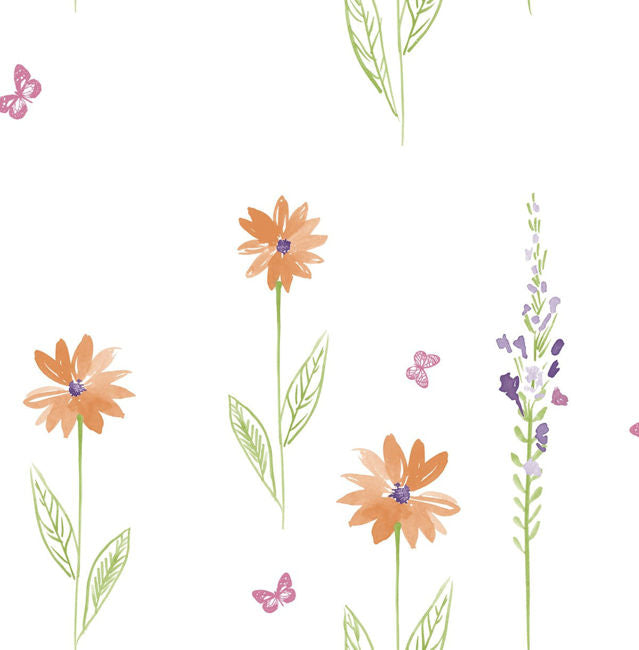orange-and-lime_daisy-field