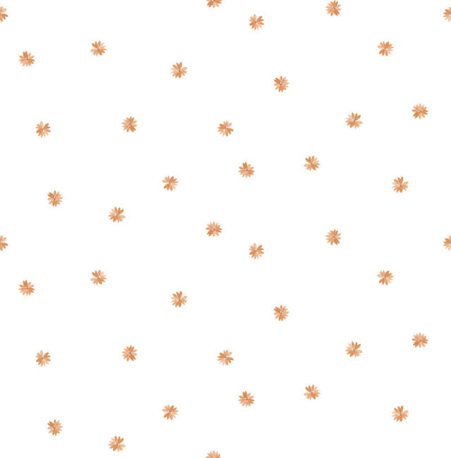 orange_little-daisy