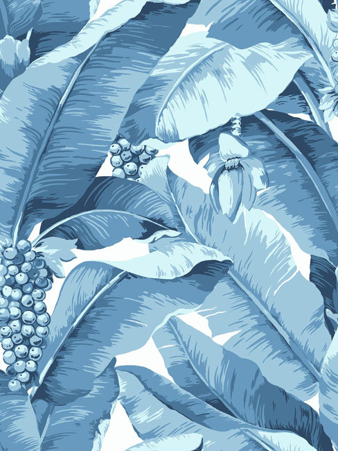 blue-white_paradisio-palm