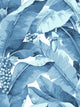Blue & White