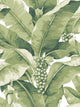 White & Green