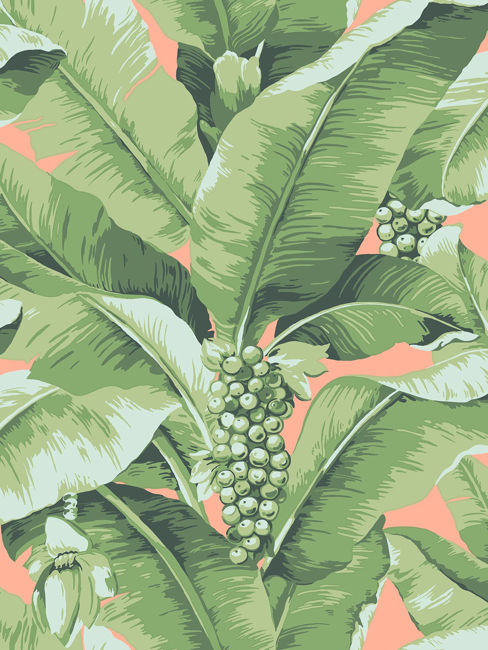 coral_paradisio-palm