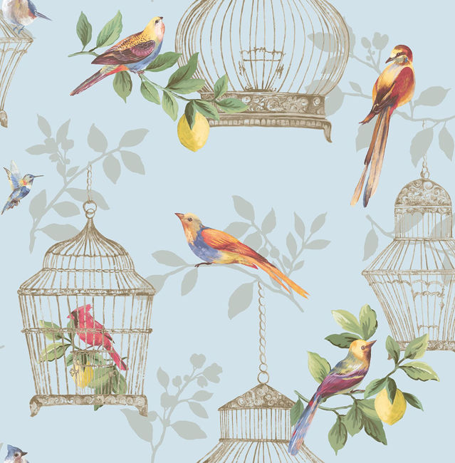sky-blue_audubon