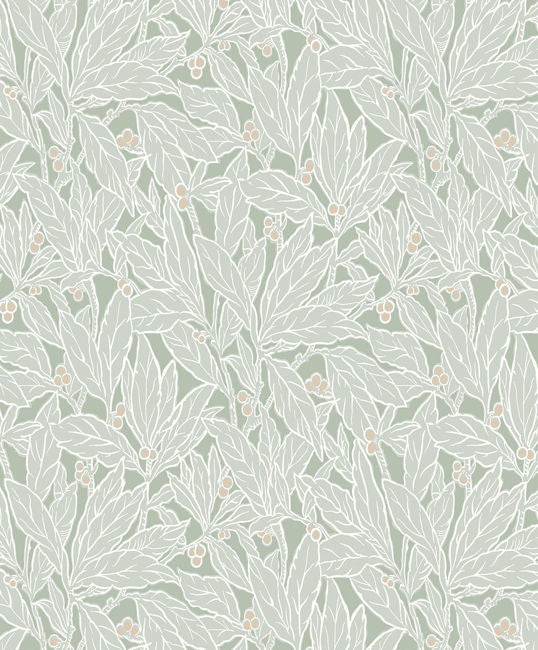 spearmint_leaf-and-berry