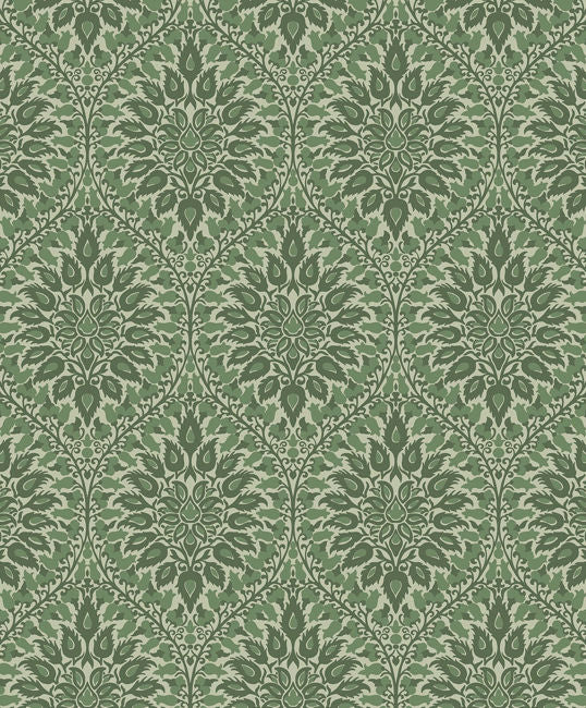 Fern