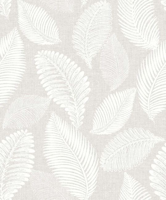 Dove Gray