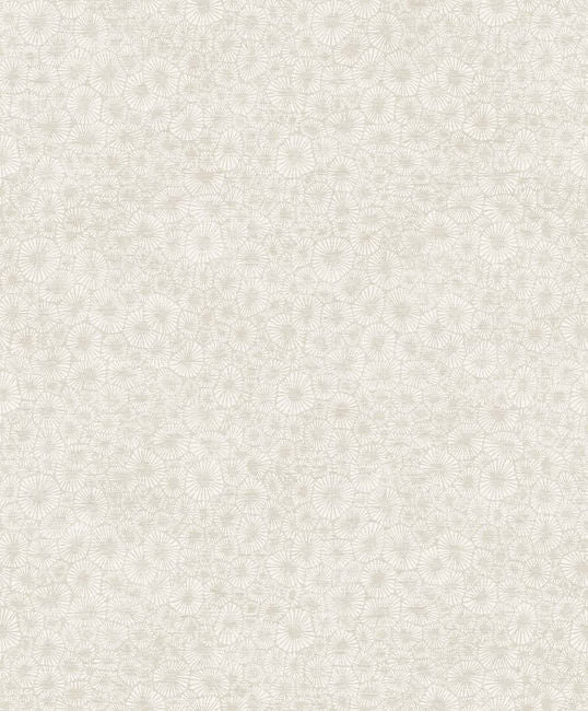 south-sea-pearl_shoral
