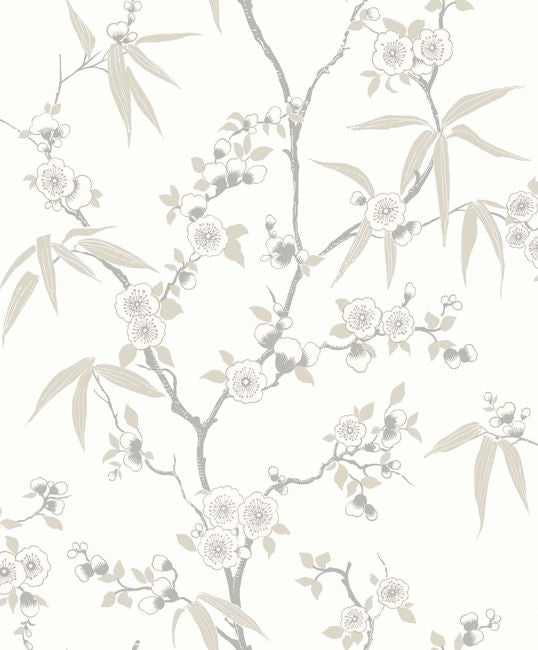 morning_asian-blossom