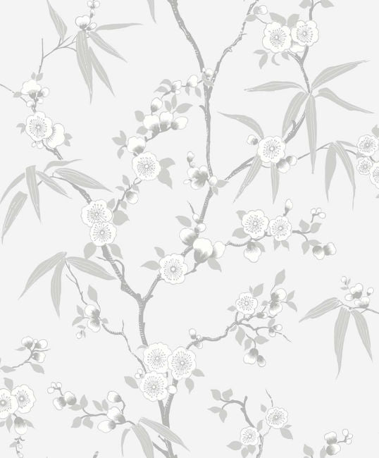 Soft Gray