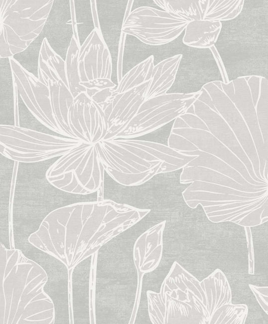shadow_kyoto-lily