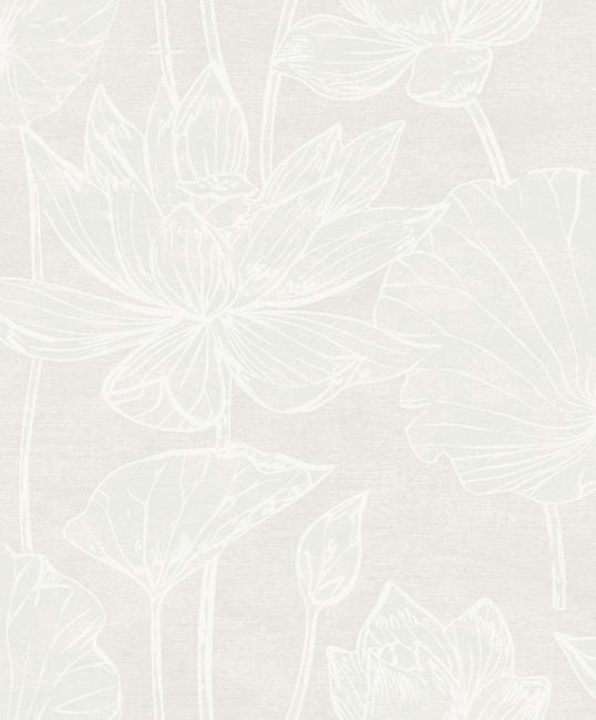 white-pearl_kyoto-lily