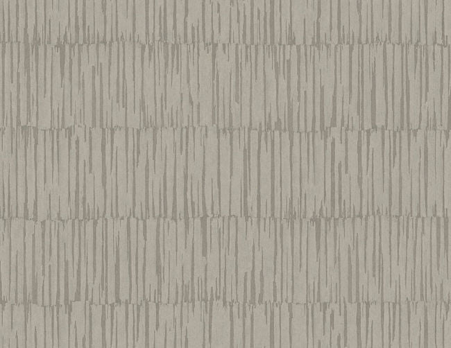 silver-wood_naomi