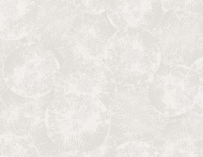 tranquil-white_eren