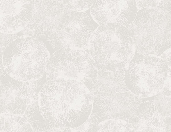 Tranquil White