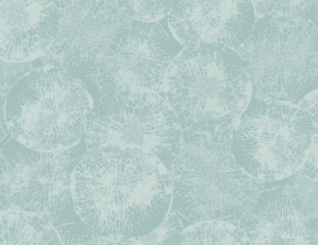 glacial-fjord_eren