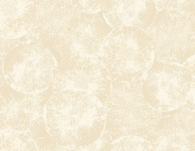 cozy-beige_eren