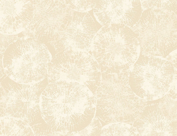cozy-beige_eren