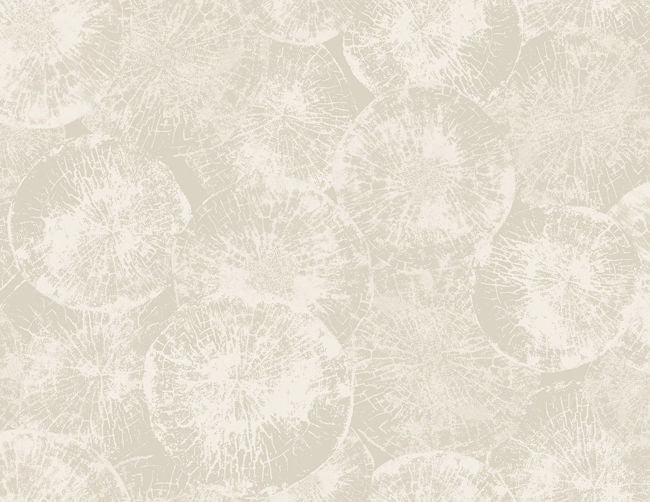 minimalist-gray_eren