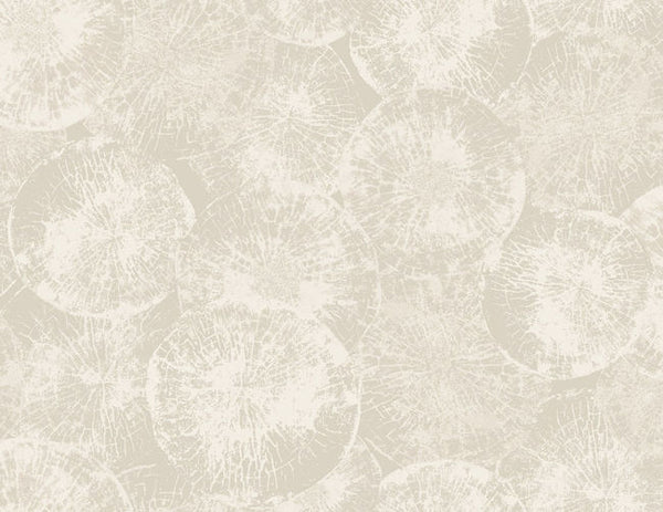 Minimalist Gray