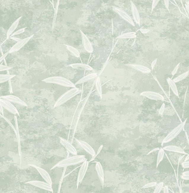 matcha_honshu-bamboo