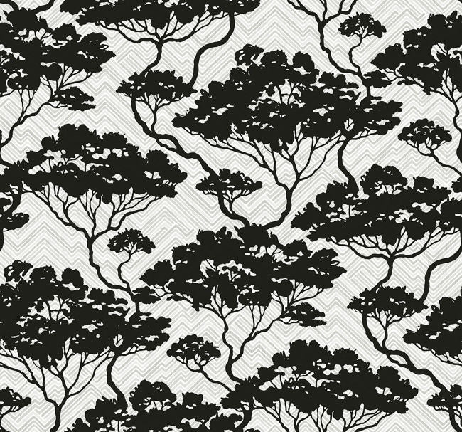 sumi-forest_nara