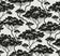 Sumi Forest