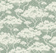 Wild Mint