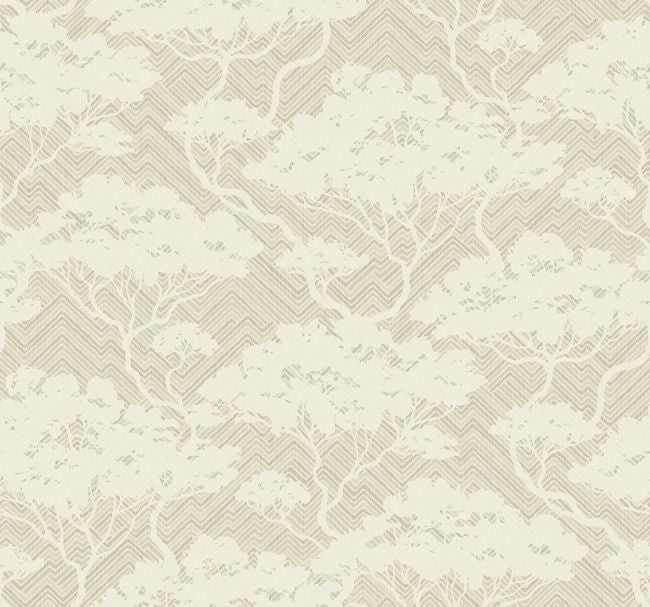 white-teatree_nara