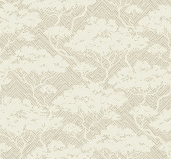 White Teatree