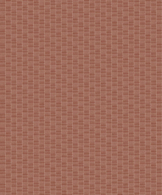 Terra Cotta