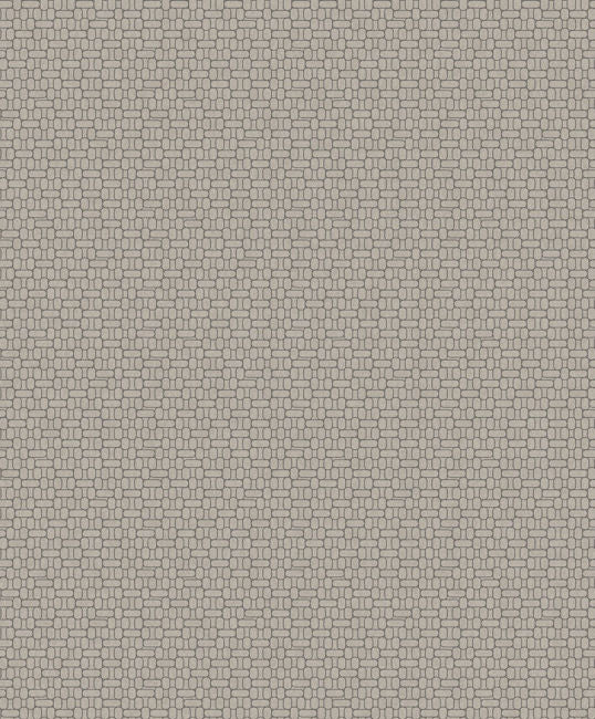 nobel-grey_capsule-geometric