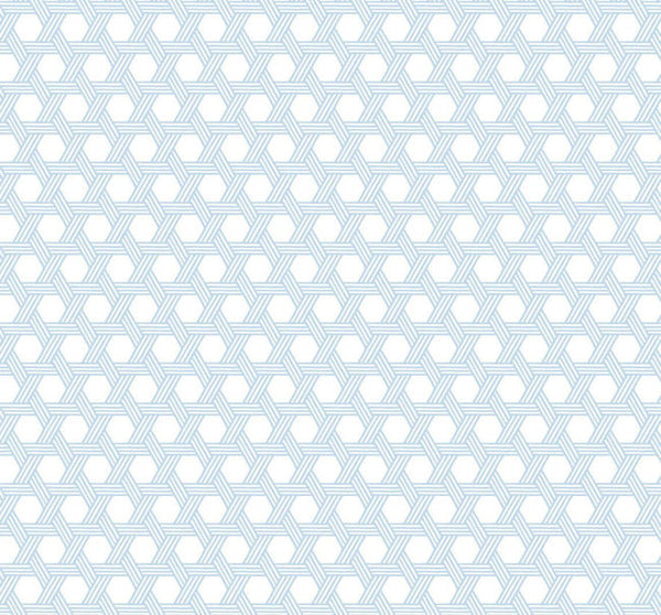 carolina-blue-and-eggshell_cabana-wicker