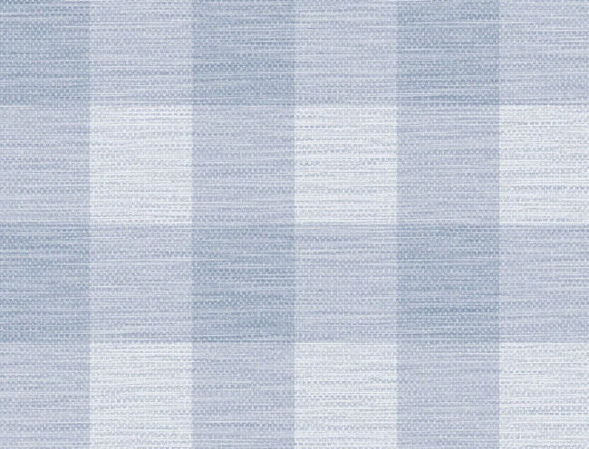 Rugby Gingham in Carolina Blue