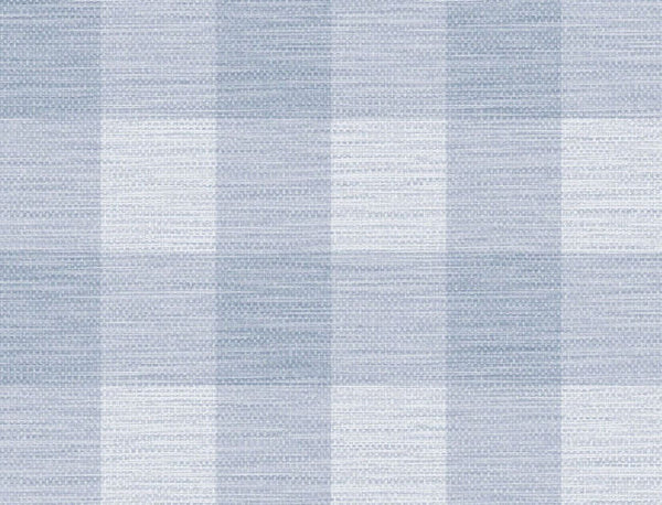 carolina-blue_rugby-gingham